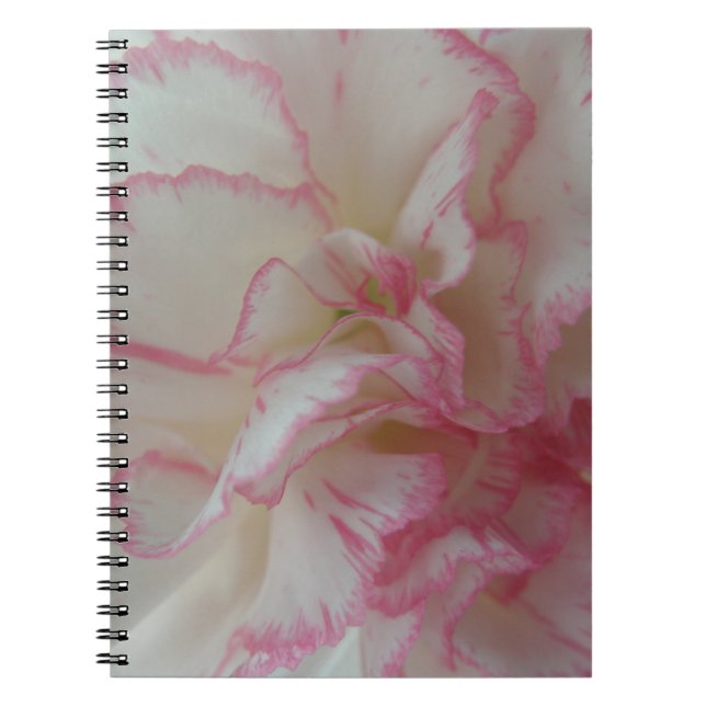Cuaderno Portátil de clavel blanco y rosado (Frente)