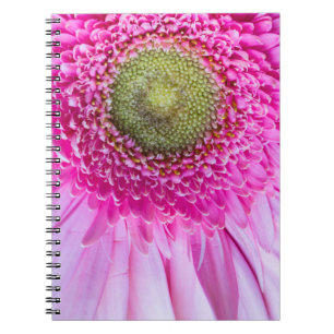 Cuaderno Portátil de color rosa Gerbera Daisy
