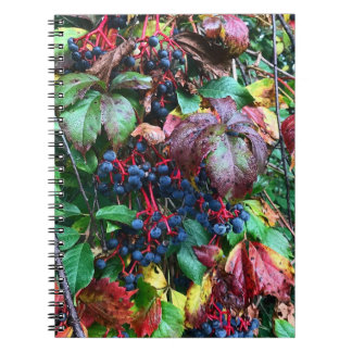 Cuaderno Portátil de colores ricos