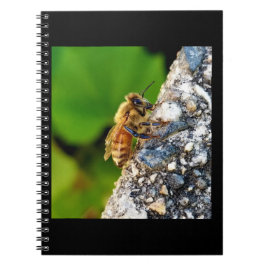 Cuaderno Portátil de espiral de abejas 6.5x8.75