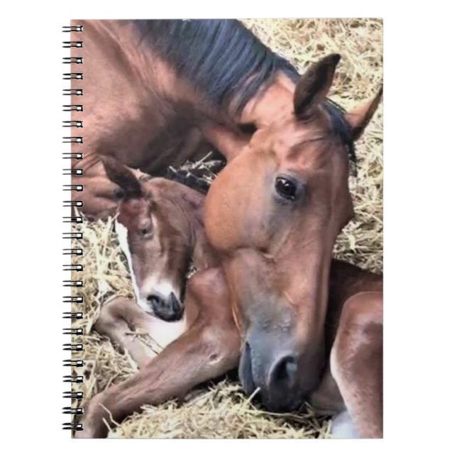 Cuaderno Portátil de espiral de caballo y de pie (Frente)