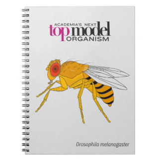 Cuaderno Portátil de espiral de Drosophila