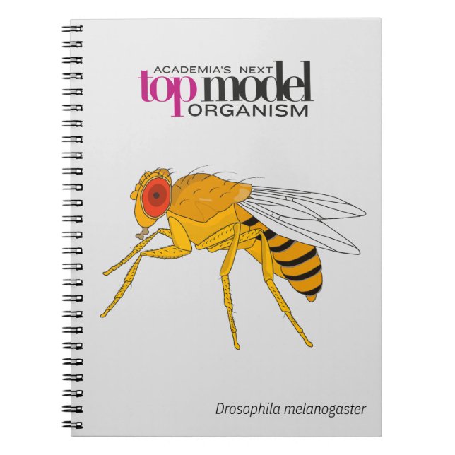 Cuaderno Portátil de espiral de Drosophila (Frente)