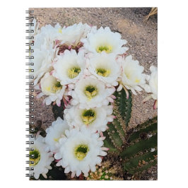 Cuaderno Portátil de espiral de flor de cactus argentino