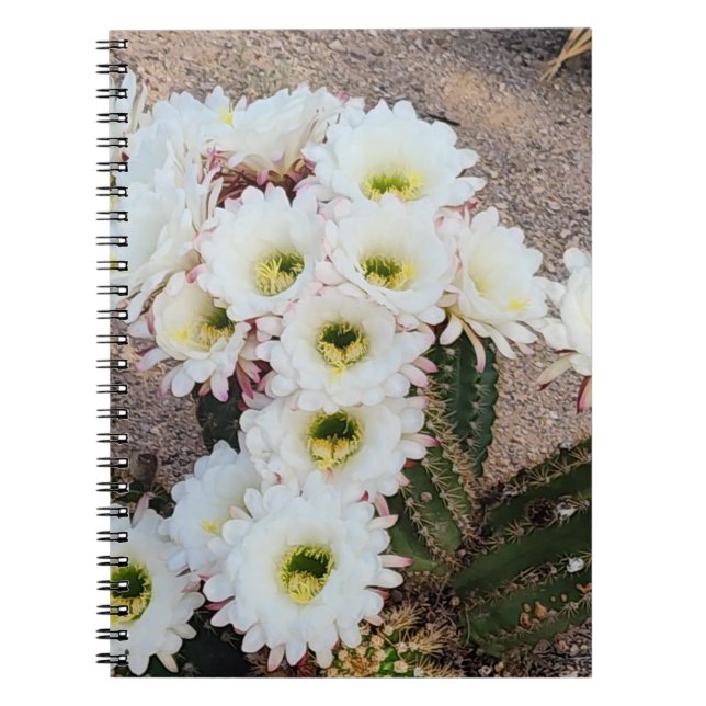 Cuaderno Portátil de espiral de flor de cactus argentino (Frente)