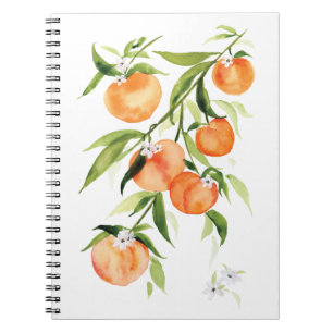 Cuaderno Portátil de espiral de frutas de veraneo
