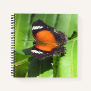 Cuaderno Portátil de espiral de mariposa tropical