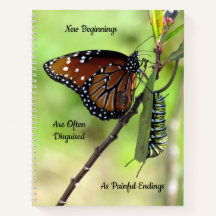 Portátil de espiral de moscas / oruga de orugas/or