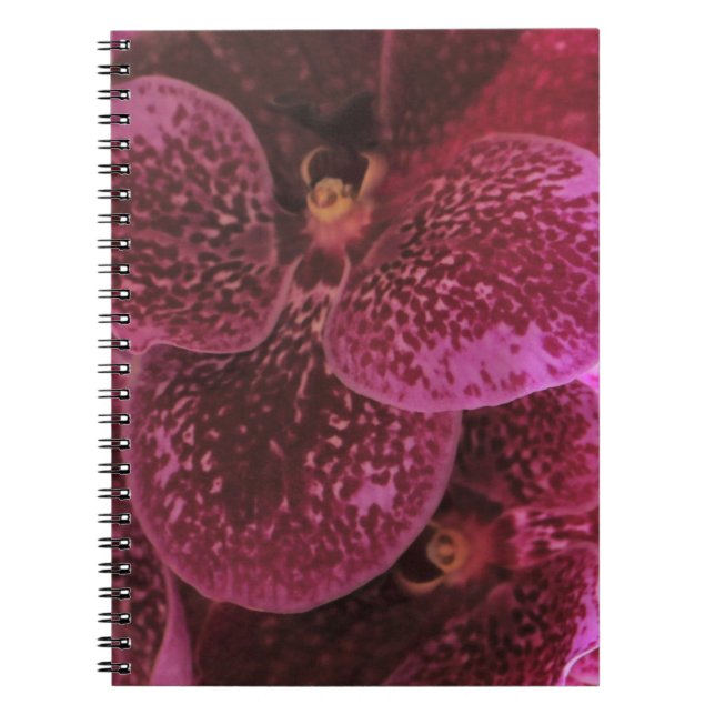 Cuaderno Portátil de espiral de orquídeas púrpura profunda  (Frente)