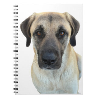 Cuaderno Portátil de espiral de perro pastor anatoliano