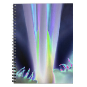 Cuaderno Portátil de espiral de piezas de flores de lavanda