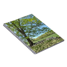 Cuaderno Portátil de espiral de retrato de árbol de monson