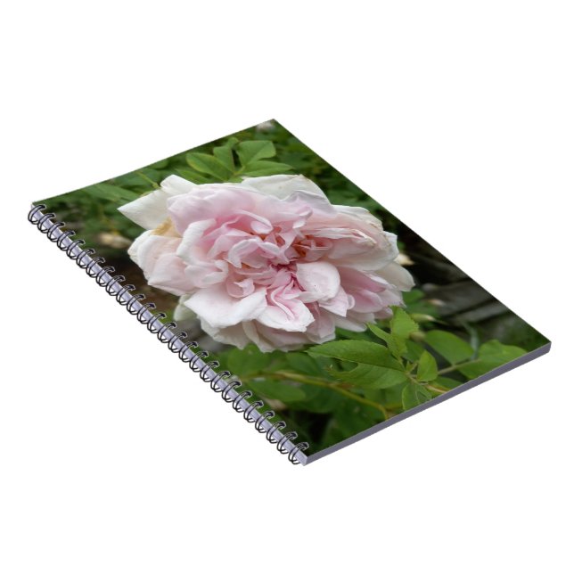 Cuaderno Portátil de espiral de Rosa rosado (Lado Derecho)