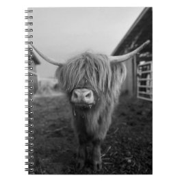 Cuaderno Portátil de espiral de vaca de Highland