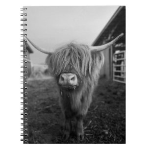 Cuaderno Portátil de espiral de vaca de Highland