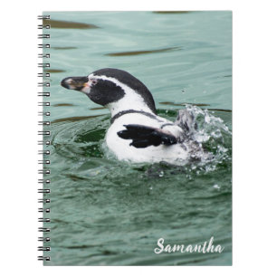 Cuaderno Portátil de espiral del pingüino del Humboldt