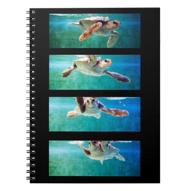 Cuaderno Portátil de estudio de la tortuga marina de la cab (Frente)