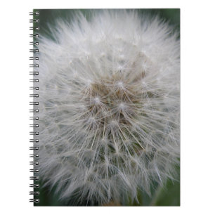Cuaderno Portátil de flores de Dandelion con semilla
