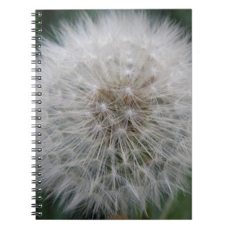 Cuaderno Portátil de flores de Dandelion con semilla