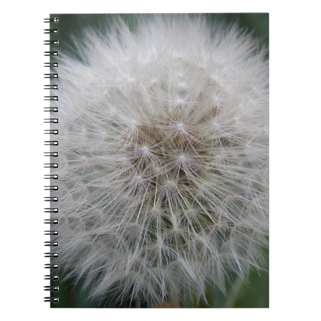 Cuaderno Portátil de flores de Dandelion con semilla (Frente)