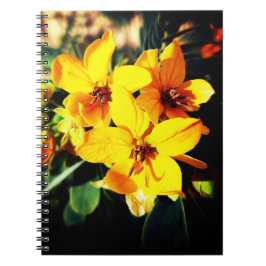 Cuaderno Portátil de Flores vibrantes