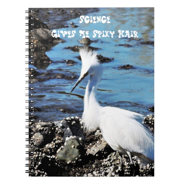 Cuaderno Portátil de foto de pájaro de pelo Spiky (Frente)
