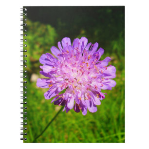 Cuaderno Portátil de foto en espiral de campo
