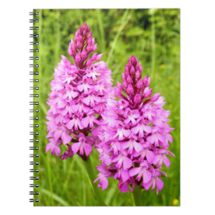 Cuaderno Portátil de foto espiral de orquídeas piramidales