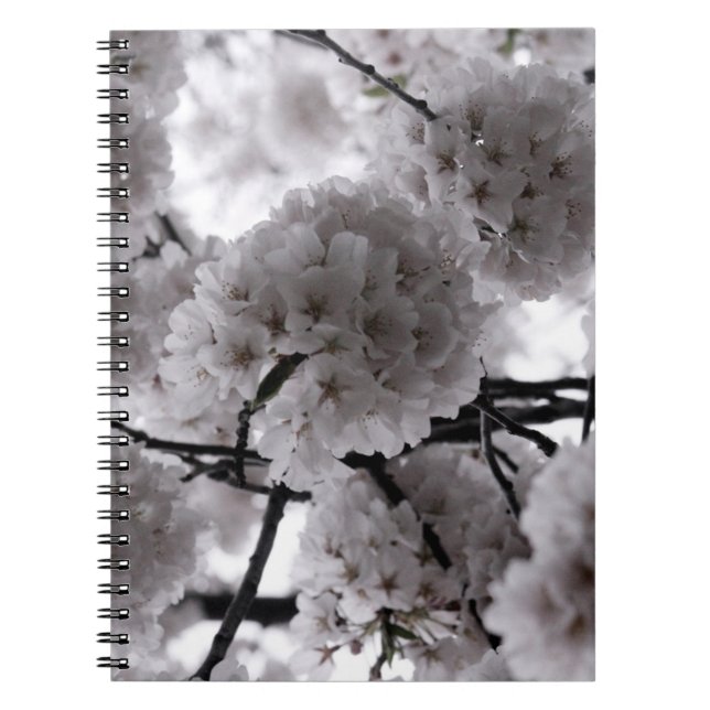 Cuaderno Portátil de fotografía con espiral floral en blanc (Frente)
