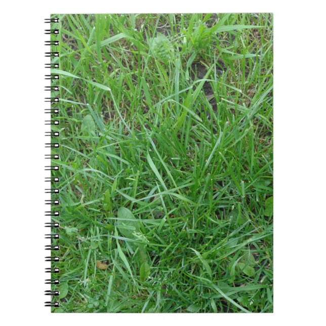 Cuaderno Portátil de fotografía de gramado (Frente)