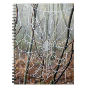 Cuaderno Portátil de fotografía de la Araña del Jardín Euro