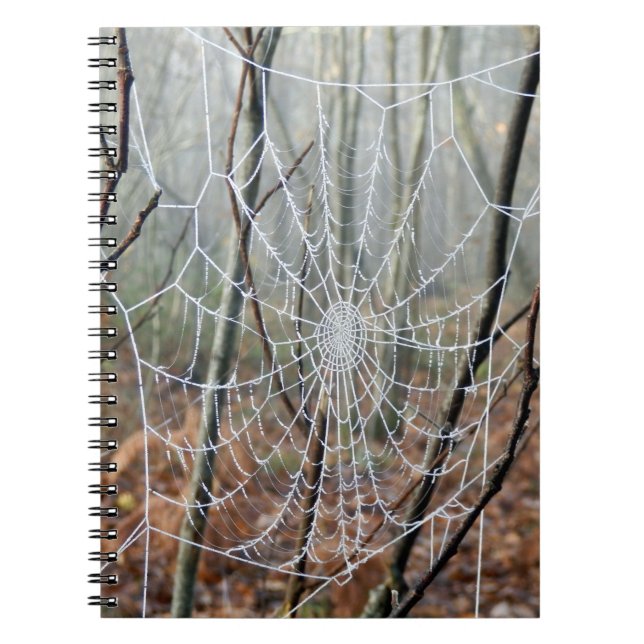 Cuaderno Portátil de fotografía de la Araña del Jardín Euro (Frente)