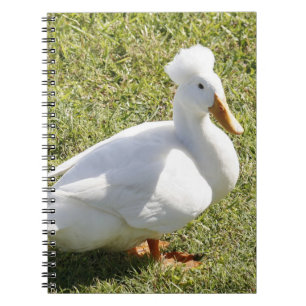 Cuaderno Portátil de fotografía espiral de pato de Pekin re