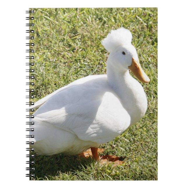 Cuaderno Portátil de fotografía espiral de pato de Pekin re (Frente)