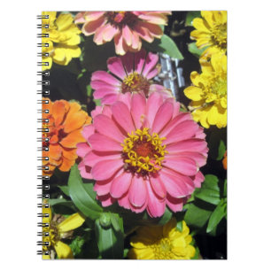 Cuaderno Portátil de fotos coloridas