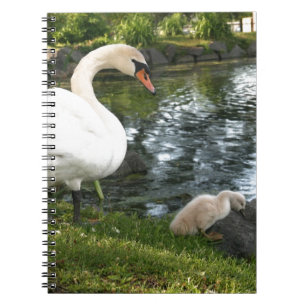 Cuaderno Portátil de fotos de cignet y Swan