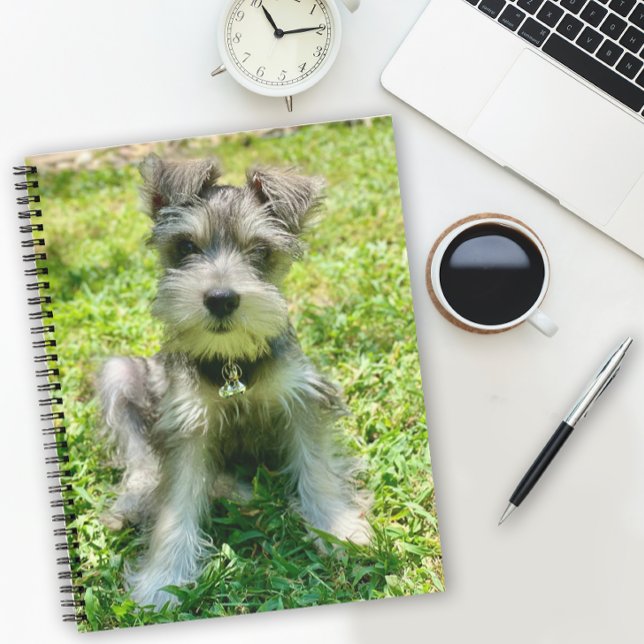 Cuaderno Portátil de fotos de perro personalizado (Add your own favorite pet photo to this notebook or enjoy this cute Schnauzer puppy.)