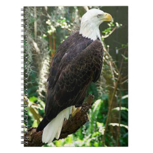 Cuaderno Portátil de fotos en espiral de águila calva