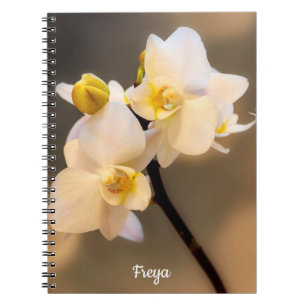 Cuaderno Portátil de fotos en espiral de orquídeas blancas