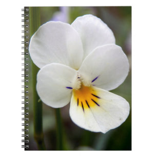 Cuaderno Portátil de fotos en espiral silvestre Pansy