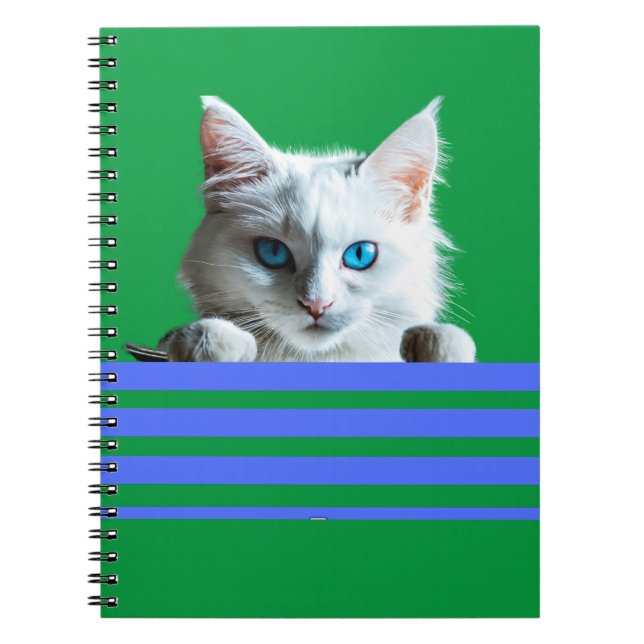 Cuaderno Portátil de fotos espirales (Frente)
