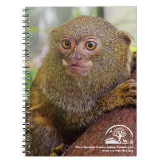 Cuaderno Portátil de fotos espirales