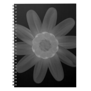 Cuaderno Portátil de fotos espirales