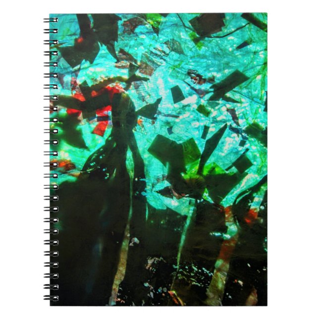 Cuaderno Portátil de fotos espirales (Frente)