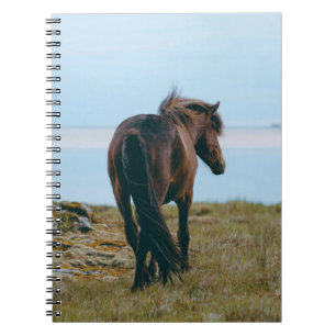 Cuaderno Portátil de fotos espirales - Caballo escénico