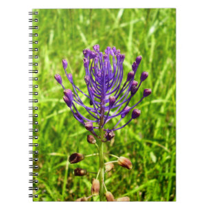 Cuaderno Portátil de fotos espirales de Tassel-Hyacinth