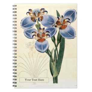 Cuaderno Portátil de fotos espirales de Trimezia
