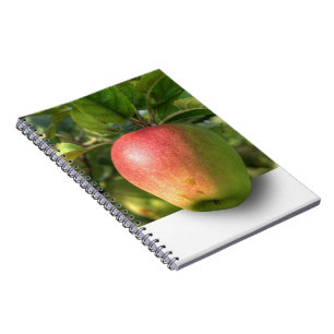 Cuaderno Portátil de fotos espirales Mango 3 D