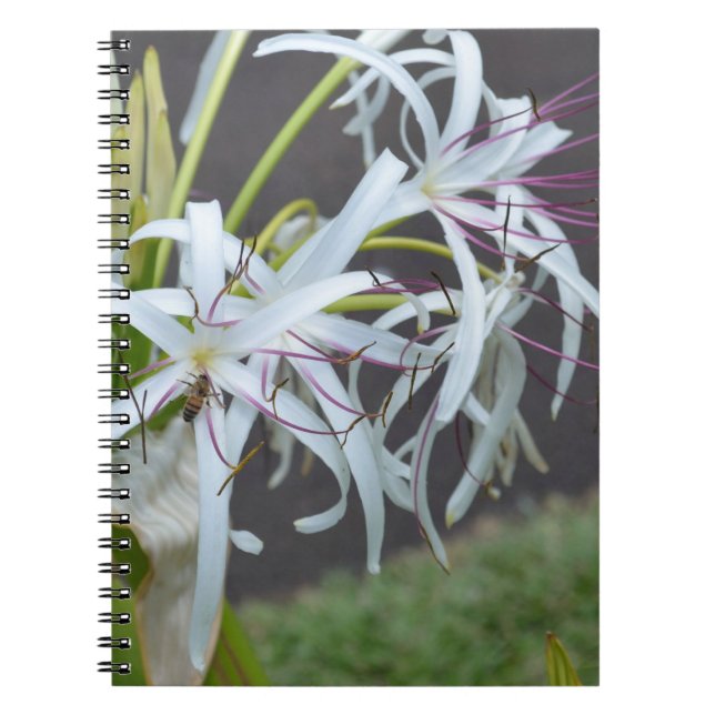 Cuaderno Portátil de fragancia floral (Frente)