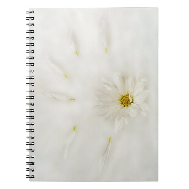 Cuaderno Portátil de gasa blanca (Frente)